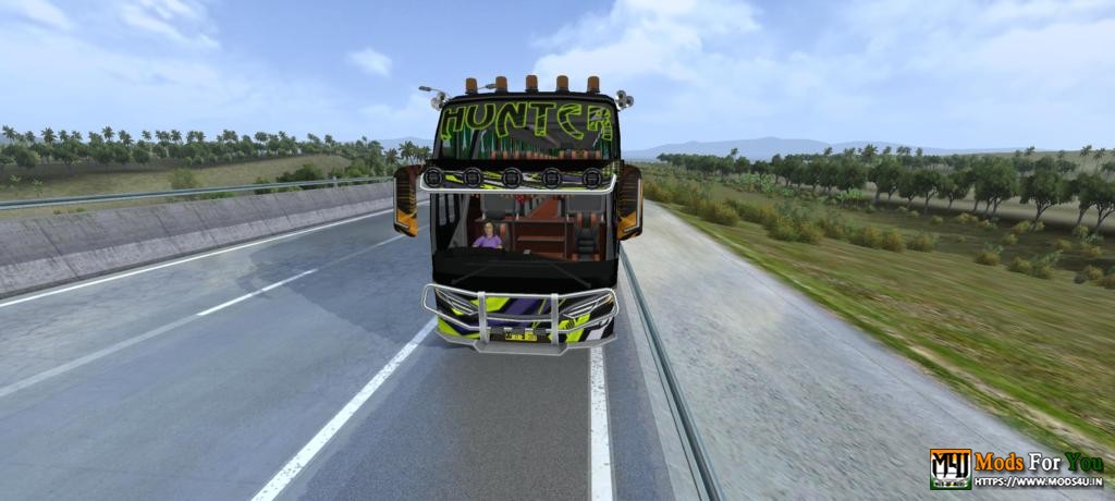 BUS ID Mods