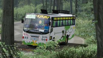 BUS ID Mods