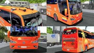 BUS ID Mods