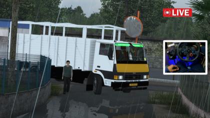 BUS ID Mods